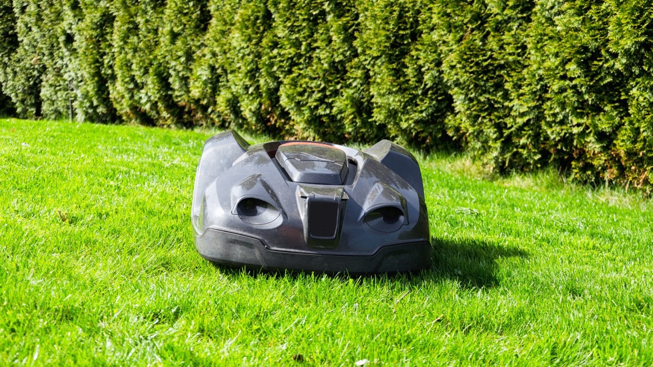 I Programmed My Robot Mower to Run at Night—What I Found in the Grass at Dawn Made Me Stop Forever