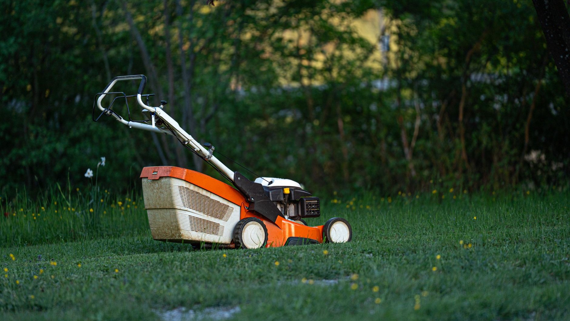 I programmed my robot mower to run at night to save time: the morning I found what was left on the lawn, I understood what...